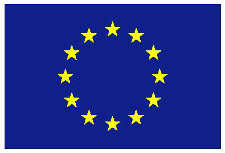 Official EU flag.jpg