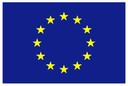 Official EU flag.jpg