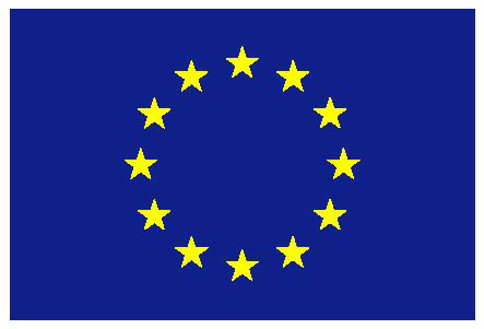 official-eu-flag.jpg